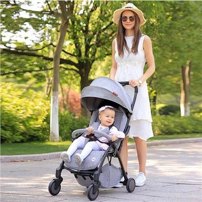 Kinderwagen Reissysteem